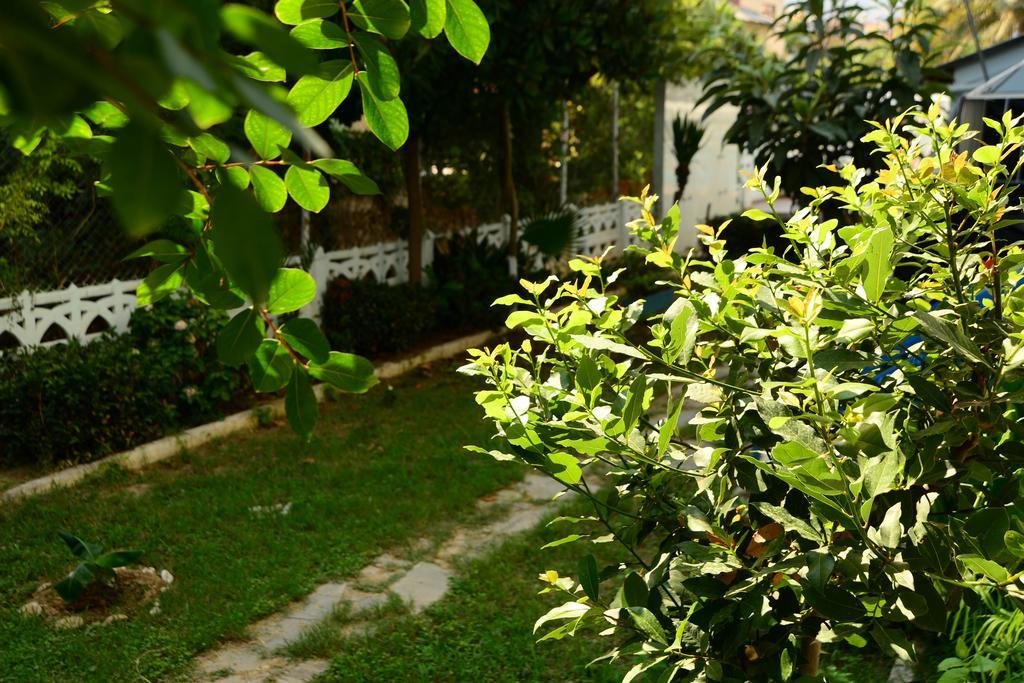Pinar Hotel Alanya Exteriér fotografie