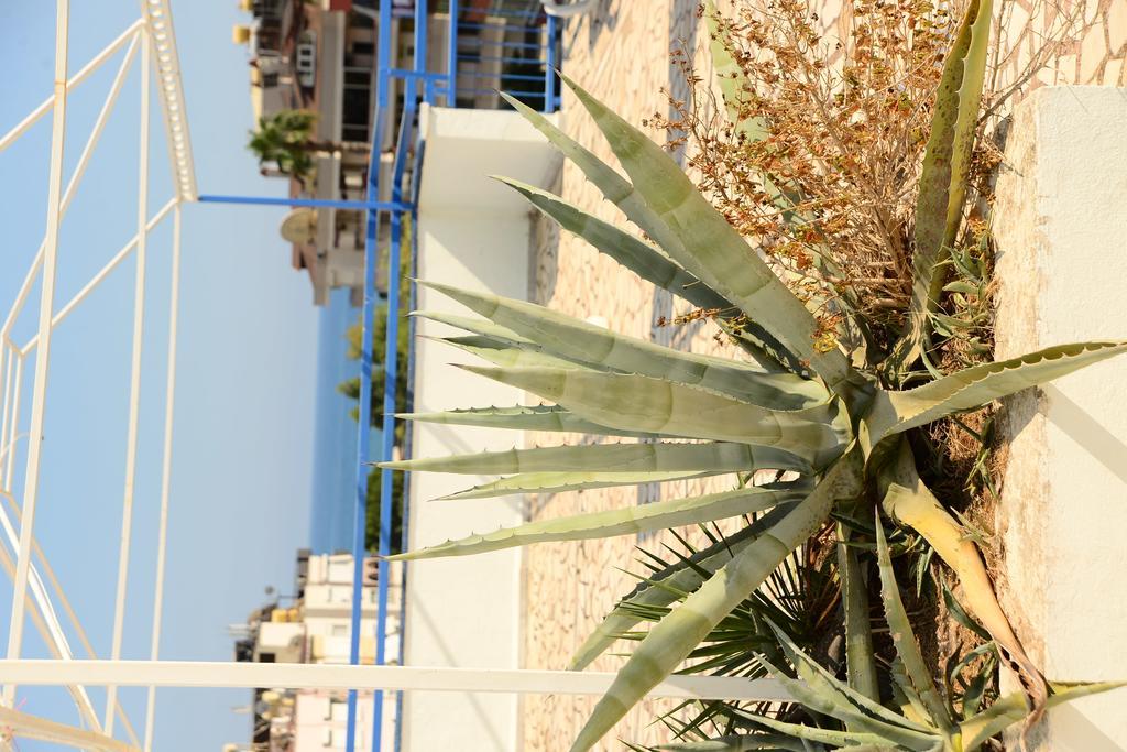 Pinar Hotel Alanya Exteriér fotografie